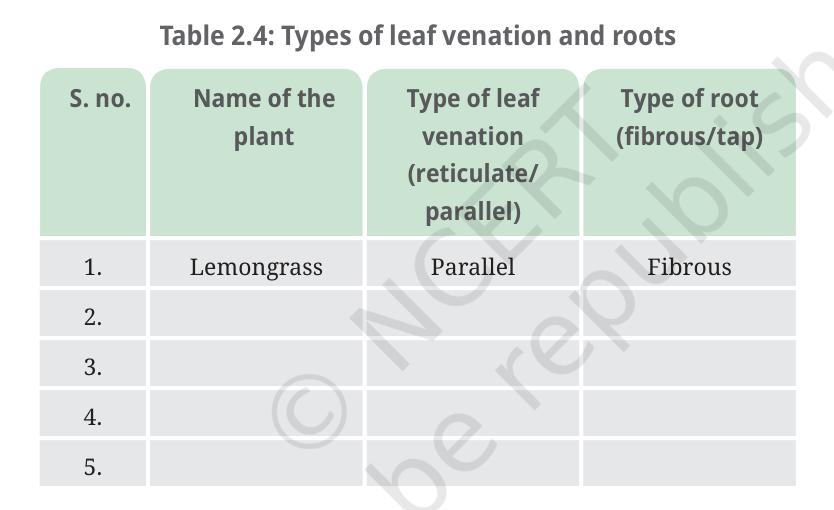 Table 2.4 - Types of leaf venation and roots